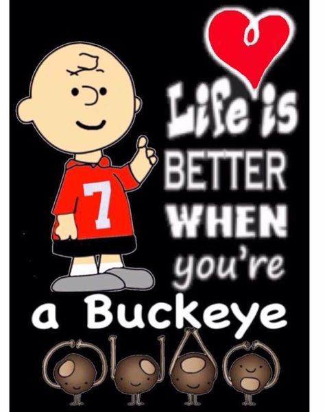 life is better when you are a buckeye Ohio State Buckeyes Crafts, Ohio State Crafts, Buckeye Crafts, Buckeye Football, Osu Buckeyes Football, Buckeye Nut, Cap'n Crunch, Brutus Buckeye, Buckeye Baby