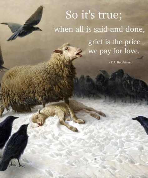 Anguish August Friedrich, Anguish By August Friedrich, August Friedrich Schenck The Orphan, Beautiful Moments, Brush Strokes, Literature, Most Beautiful, In This Moment, Quotes