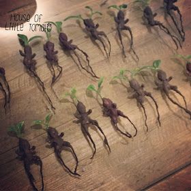 Diy Mandrake Harry Potter, Chamber Of Secrets Party, Diy Mandrake, Make A Magic Wand, Harry Potter Tea Party, Harry Potter Themed Birthday Party, Harry Potter Art Projects, Harry Potter Plants, Harry Potter Themed Birthday