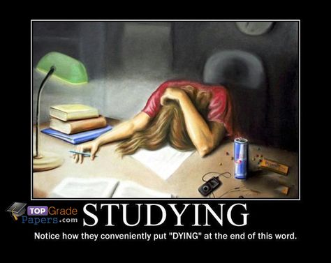 Essay #Writing #Help #Assignment #Research #Dissertation #Services #Student #Deadline #funny #meme #education #Submit #married #quotes #life #lol Stay Connected With Top Grade Papers www.topgradepapers.com 4 Panel Life, Demotivational Posters, Smosh, School Memes, Freshman Year, School Humor, E Card, College Life, How I Feel