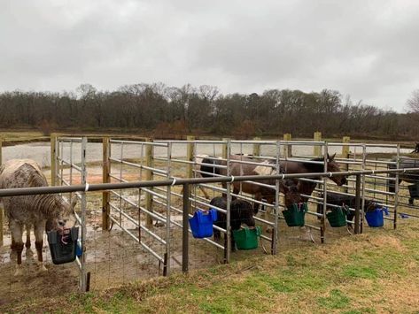 Horse Grain Feeder, Horse Tie Stalls, Hay Hut, Horse Feeding, Paddock Trail, Horse Farm Ideas, Diy Horse Barn, Tack Rooms, Paddock Paradise