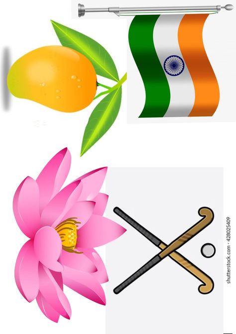 India National Symbol, National Symbols Of India Chart, National Symbols Of India For Kids, National Symbols Of India, Birthday Chart Classroom, Birthday Chart, India For Kids, Fun Worksheets For Kids, Holiday Homework