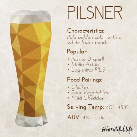 🍺 Discover the crisp and refreshing world of Pilsners!🍺 Enjoy the pale golden hue and white foam head of a classic Pilsner. Perfectly paired with chicken, root vegetables, and mild cheddar. Serve chilled at 40-45°F. ABV: 4%-5.5%. Cheers to a #BrewtifulLife! 🍻 #beer #franklinma Bar Knowledge, Beer Infographic, Infographic Food, Beer Food Pairings, Beer Taster, Beer Facts, Beer And Food, Beer Factory, Consulting Branding