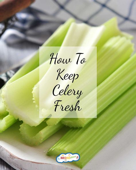 Celery Preservation, Keeping Celery Fresh In Fridge, How To Make Celery Last Longer, How To Keep Celery Crisp, What To Do With Celery Tops, What Can I Make With Celery, How To Keep Chopped Veggies Fresh, Keep Celery Fresh Longer, How To Keep Celery Fresh Longer