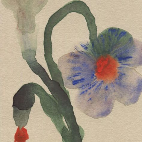 Cate Edwards Art, Moira Frith Art, Moira Frith, Watercolour Aesthetic, Watercolour Doodles, Watercolor Reference, Watercolour Florals, Watercolor Flower Prints, Watercolour Flower