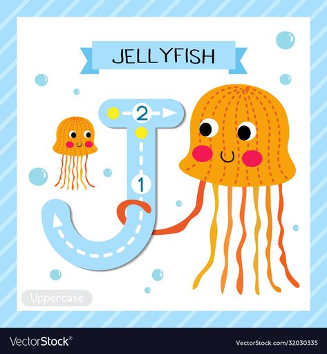 Jellyfish For Kids, J Is For Jellyfish, Orange Jellyfish, Kids Handwriting, Jellyfish Design, Flashcards For Kids, Abc Alphabet, Alphabet Tracing, Learn English Vocabulary