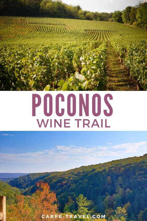 Poconos Bachelorette, Pennsylvania Road Trip, Poconos Pennsylvania, Bachelorette Weekend Ideas, Beyond The Vines, Things To Do In Pennsylvania, Delaware Water Gap, Retirement Strategies, Pike County