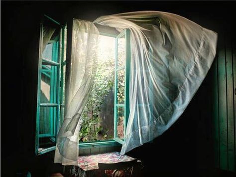 love the look of open windows and breeze blowing through sheer curtains! An Open Window, Blowin' In The Wind, Foto Tips, Beautiful Windows, Window View, Through The Window, Open Window, Summer Breeze, Sheer Curtains