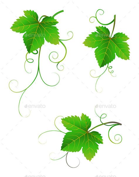 Grape Leaves Drawing, Grape Vines Art, Wine Glass Drawing, Wine Leaves, Metal Flower Wall Art, Green Grape, Paper Quilling Cards, Flower Pot Design, Fabric Paint Designs