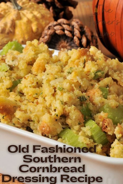 cornbread dressing in a white bowl Southern Turkey Dressing, Easy Cornbread Dressing, Old Fashioned Cornbread Dressing, Turkey Dressing Recipe, Southern Dressing, Old Fashioned Cornbread, Southern Cornbread Dressing, Cornbread Dressing Recipe, Cornbread Stuffing Recipes