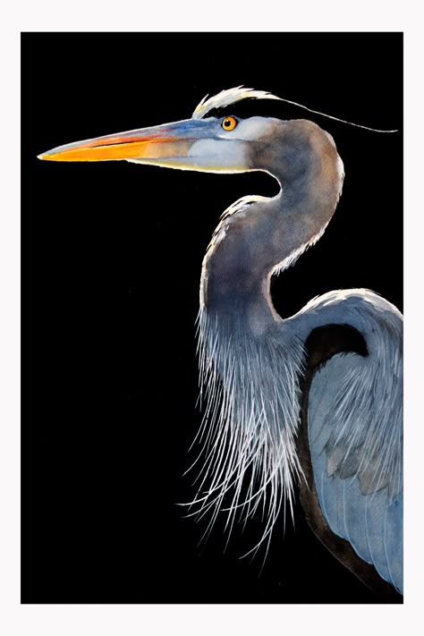 Great Blue Heron Illustration, Heron Pictures, Heron Illustration, Duck Quack, Bald Eagle Art, Bird Paintings On Canvas, 25th Hour, Heron Art, Animal Inspiration