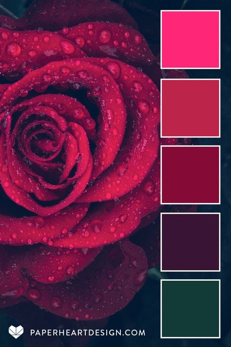 Color Palette For Flowers, Simple Color Pallete, Viva Magenta Color Palette, Magenta Pantone, 2023 Color Of The Year, Trailer Makeover, Purple Couch, Glam House, Ball Ideas