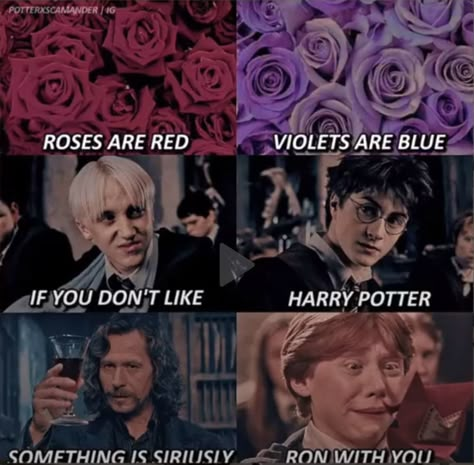 Harry Harry Potter, Harry Potter Funny Pictures, Harry Potter Song, Funny Harry Potter, Citate Harry Potter, Harry Potter Parody, Glume Harry Potter, Modele Pixel Art, Harry Potter Harry