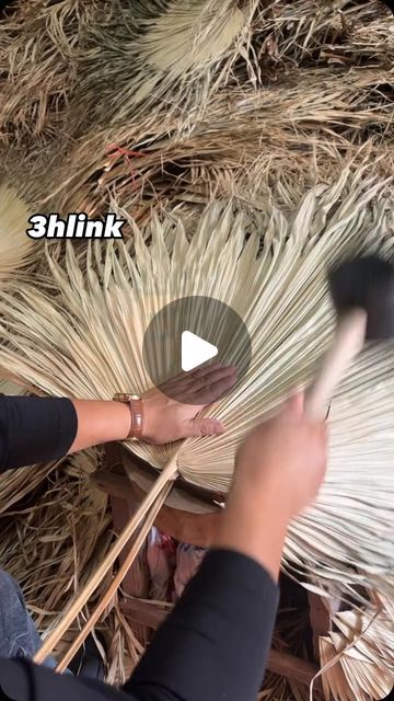 Dried Pampas Grass on Instagram: "We are not selling products to you, but take natural beautiful things and happy life to you! Enjoy the nature together!

#3hlink #Lavender #palmleaves #driedflowers #3hlinkflower #preservedflower #bohodecor #pampasgrass #hydrangea #homedecor #weddingdecoration #babybreath #handmadecrafts #hoteldecor #luxurydecor #flowerbouquet #flowerboxes #flowerbouquets #palmspears #hydrangeas #christmasdecor #christmasflowers #preservedtree #witchbroom #christmas #hoteldecor #preservedtrees #amarantus #willowbranch #minihaybales #decorhaybales" Dried Pampas, Willow Branches, Hay Bales, Witch Broom, Christmas Flowers, Hotel Decor, Selling Products, Luxury Decor, Pampas Grass