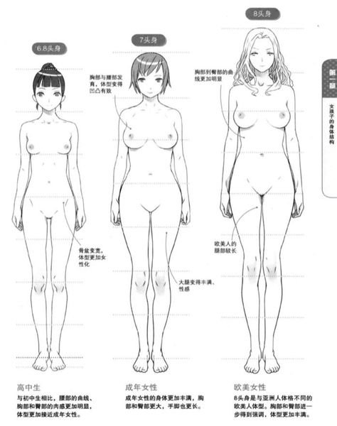 Torso Reference Female Photo, Manga Art Ideas, Drawing Female Body Anatomy, Girl Anatomy Reference, Figure Sketching Female, Sketch Body Poses Female, Manga Clothes Reference, Girl Anatomy Drawing, Female Body Anatomy Drawing