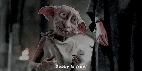 Dobby Is Free, Dobby Harry, Hp Movies, Free Dobby, Dobby Harry Potter, Harry Potter Icons, Harry Potter Gif, Elf House, Harry Potter Facts