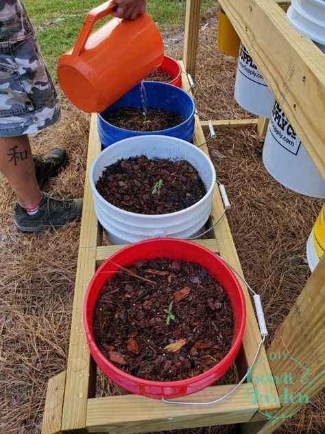 How To Build A 5 Gallon Bucket Garden, Bucket Gardening 5 Gallon Stand Plans, 5gallon Bucket Garden, 5 Gallon Bucket Garden Stand, Five Gallon Bucket Garden Stand, 5 Gallon Bucket Planter Stand, 5 Gallon Bucket Raised Garden, Five Gallon Bucket Garden, Bucket Planter Stand