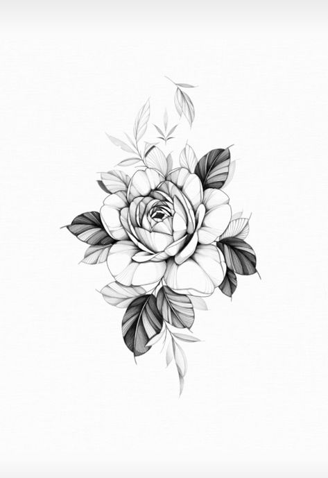 Apprentice Tattoos, Tattoo Sketch Art, Drawing Of Flowers, Peony Flower Tattoos, Rose Flower Tattoos, Rose Tattoos For Men, Flower Tattoo Drawings, Hand And Finger Tattoos, Flower Line Drawings