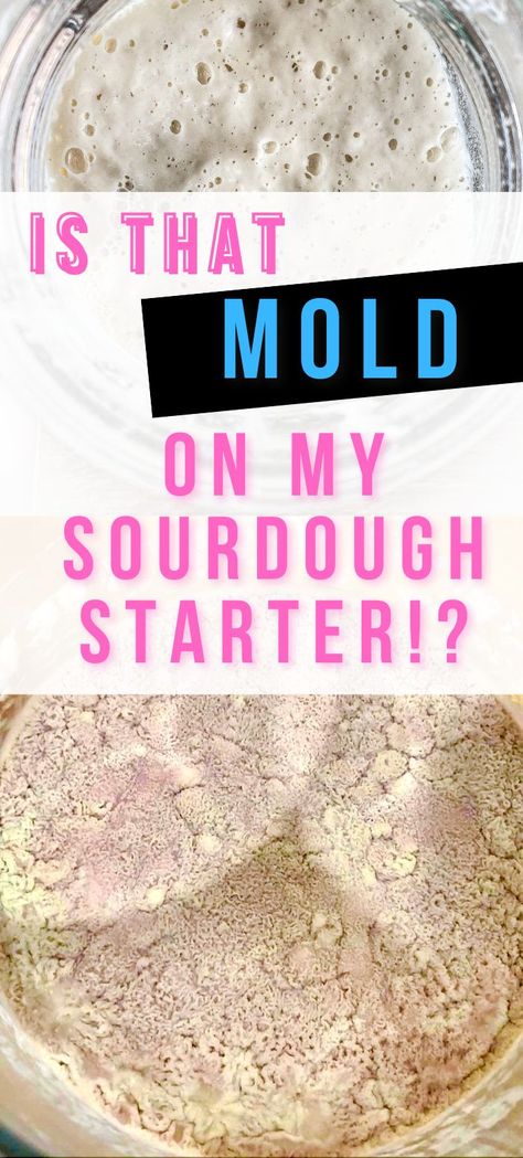 Moldy sourdough starter where pink streaks are visible on the sides of the jar and on the sourdough starter surface. Yeast Starter, Sourdough Bread Starter, Starter Recipe, Bread Starter, Sourdough Starter Recipe, Sourdough Baking, Starters Recipes, Sourdough Starter, Baking Tips