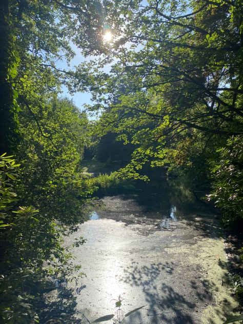 sefton park liverpool Sefton Park, Liverpool, University, Quick Saves