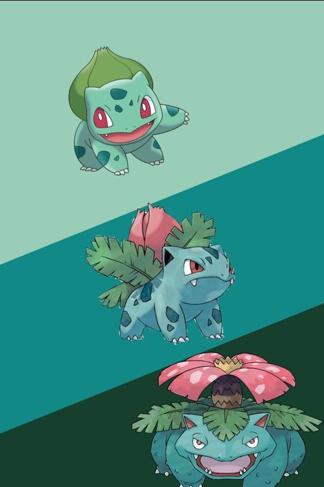 Evoluções do bulbassauro Bulbasaur Evolution, Pichu Pokemon, Pokémon Heroes, Gen 1 Pokemon, Mew And Mewtwo, Pokemon Dragon, Pokemon Mew, Pokemon Team, Pokemon Starters