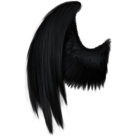 Black Angel Wings SPN ❤ liked on Polyvore featuring wings, fillers, accessories, backgrounds and other Fallen Angel Wings, Angel Wings Png, Angel Wings Drawing, Angel Wings Costume, Wings Png, Demon Wings, Black Angel Wings, Wings Drawing, Black Angel