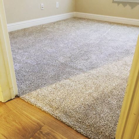 Greige Carpet Living Room, Greige Carpet Bedroom, Carpet Colors Neutral, Beige Carpet Stairs, Greige Carpet, Carpeting Ideas, Upstairs Carpet, Sand Colour Carpet, Neutral Carpet