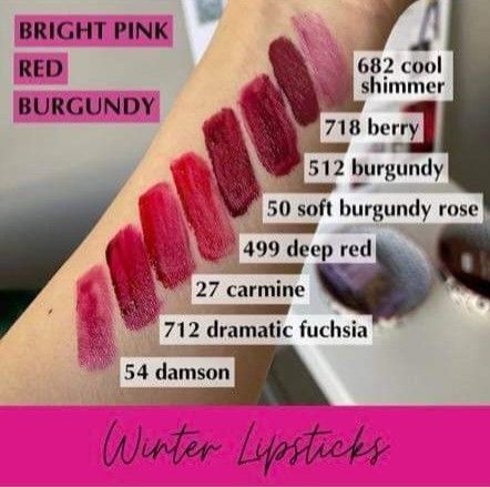 House Of Colour Winter Lipstick, House Of Colour Winter Makeup, Burnished Winter House Of Colour, Burnished Winter Palette, House Of Colour Winter Hair Color, True Winter Lipstick, House Of Colour Winter, Burnished Winter, Winter Pallet