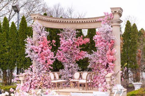 Open Concept Mandap, Mandap Design, Wedding Questions, Nigerian Recipes, Mandap Decor, Wedding Backdrop Design, Pink Cherry Blossom, Pink Carpet, Wedding Planning Services