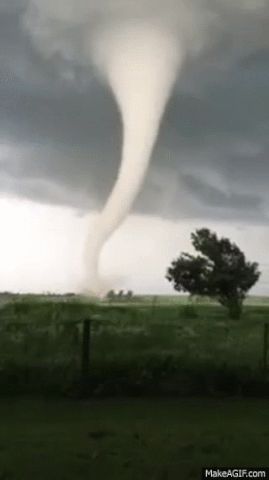 via GIPHY Windy Girl, Tornado Gif, Rain Animation, Tornado Pictures, Weather Cloud, Wild Weather, Weird Gif, Motion Design Animation, Weather And Climate