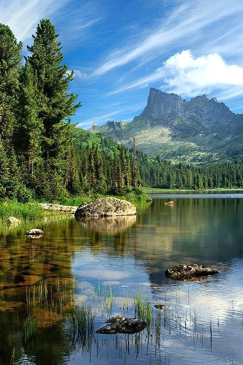 Taiga Biome Aesthetic, Picture Lake Washington, Lake Scenery Landscapes, Taiga Landscape, Taiga Biome, Taiga Forest, Russia Landscape, Russia Nature, Landscape Pics