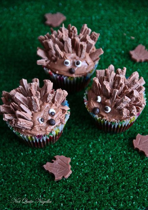 hedgehog cupcakes Hedgehog Cupcakes, Chocolate Hedgehog, Creative Cupcake Recipes, Cupcakes With Frosting, Hedgehog Cupcake, Kid Cooking, Malteser Cake, Hedgehog Cake, Fun Cupcake Recipes