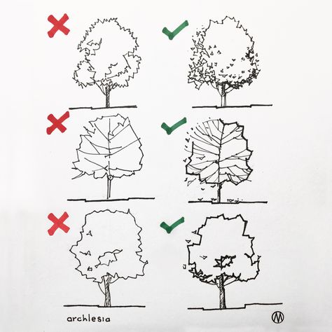 Drawing of trees in architectural sketches Follow @archlesia_en for more! Architectural Trees, Architecture Drawing Presentation, Tree Sketch, Architecture Drawing Sketchbooks, Landscape Architecture Drawing, Perspective Drawing Architecture, Architecture Drawing Plan, Architectural Sketches, Conceptual Architecture