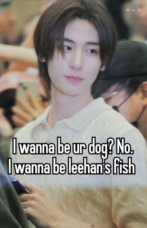 Leehan Curly Hair, Breathe Underwater, Jazz Songs, Breathing Underwater, The Boy Next Door, Boy Fishing, One Fish, Girl Boss Quotes, Kpop Posters