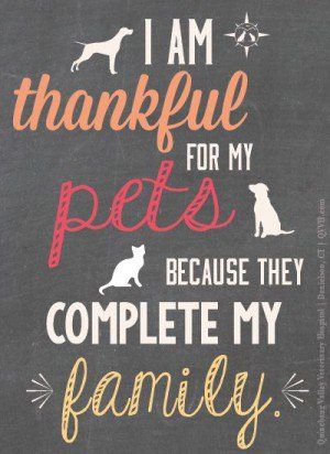 Re-pin if your pets are part of your family. As a veterinarian crew ... Quotes About Pets, Pets Quotes, Dog Sayings, Pet Quotes, Dog Quotes Love, Dog Quote, Veterinary Hospital, Pet Signs, Veterinary Medicine