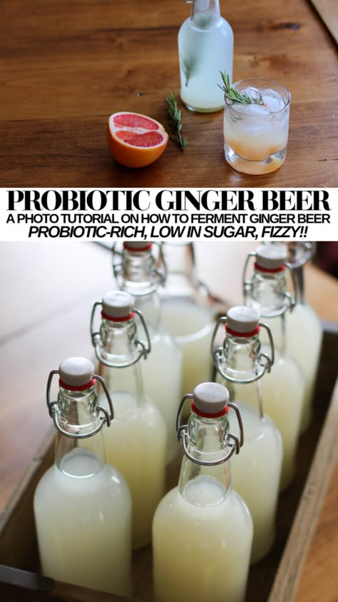 Ginger Beer Recipe, Ginger Bug, Fermented Drinks, Beer Recipe, Probiotic Drinks, Fermentation Recipes, Fermented Drink, Probiotic Foods, Ginger Ale