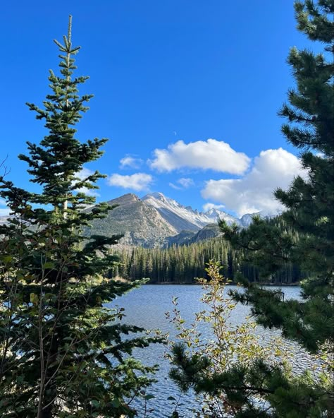 Colorado Aesthetic, Mountain Aesthetic, Pretty Landscapes, Rocky Mountain National Park, Pine Trees, Nature Aesthetic, Pretty Places, Rocky Mountain, Nature Travel