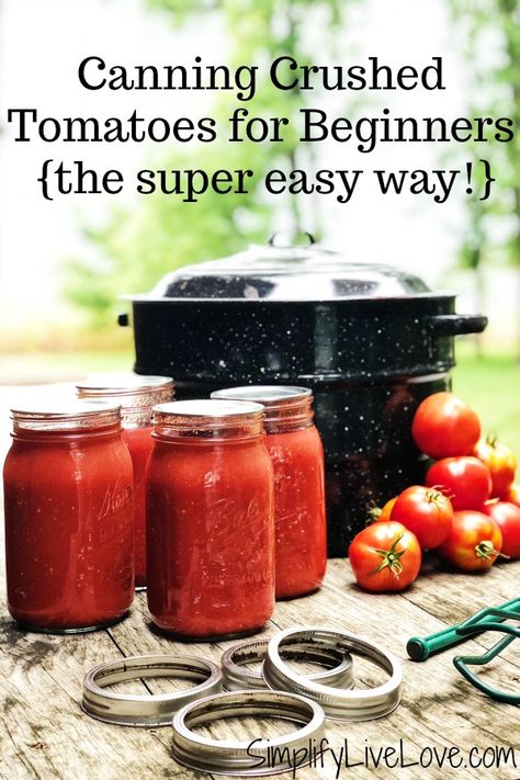 How To Can Crushed Tomatoes, Easy Canning Tomatoes For Beginners, Canning Tomato Sauce For Beginners, Canning Tomatoes For Beginners, Vegetable Canning, Storing Veggies, Creative Canning, Canning Veggies, Chili Spaghetti