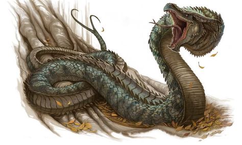 "You don't know? He is the king of all Serpents, the one creature even a Dragon would not want to mess with. It can kill hundreds with its stare alone and those who survive are scarred for life. It is said that the Basilisk only hunts for sport and it enjoys putting the fear of God in you. Some say, he's gone but some also say that, he left a son behind." — Legends about Basilisk Basilisk (バジリスク, Bajirisuku) better known as the Serpent King (蛇王者, Hebiōja) is a supernatural creature that is... Dnd Basilisk, Basilisk Dragon, Types Of Dragons, Snake Dragon, Fantasy Beasts, Legendary Creature, Mythical Beast, Mythical Creature, Fantasy Monster