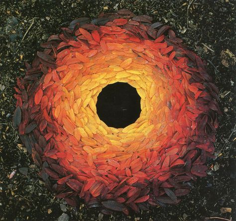 Andy Goldsworthy - British sculptor who creates temporary installations out of leaves,sticks, stones, and anything and everything else that he finds outside.  Goldsworthy’s work is transient and ephemeral, leading many to view it as a comment on the Earth’s fragility Andy Goldworthy, Goldsworthy Art, Environmental Artist, Ephemeral Art, Andy Goldsworthy, Nature Artists, Artistic Installation, Earth Art, Natural Art