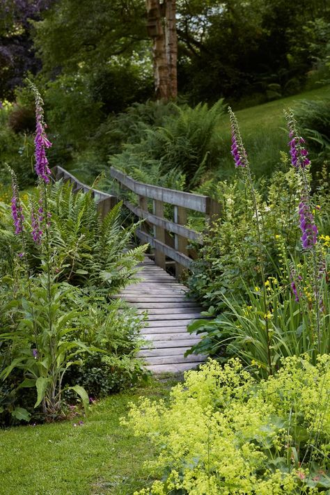 Garden Bridge Design, Cottagecore Garden, Wild Landscape, Natural Swimming Ponds, Swimming Pond, Natural Pond, Dry Stone Wall, Natural Swimming Pool, Forest Garden