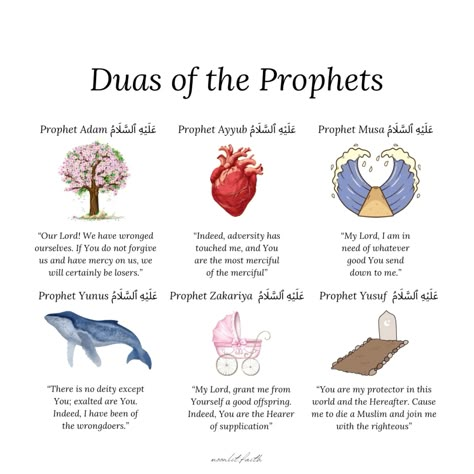 duas of the prophets #dua #prayer #prophet #islam #muslim #quran #allah #quranverse #quranquotes #islamicquote #islamicreminders #daily #reminder Basic Islamic Knowledge, Dua List, Dua For Studying, Islamic Journaling, Islamic Verses, Islamic Notes, Islamic Advice, Prophets In Islam, Islam Motivation