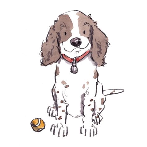 Springer week – Iain Welch Art and Design Boy Doodle, Contact Photos, Cartoon Dog Drawing, Dog Cartoons, Small Dog Tattoos, Anita Jeram, Spaniel Art, Puppy Drawing, Dog Christmas Card