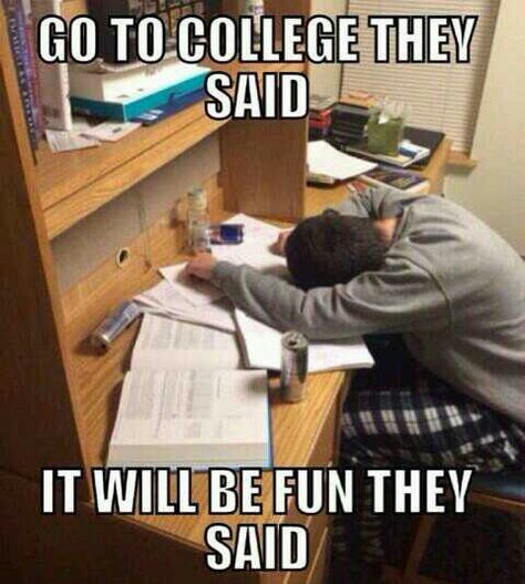 College life "You'll be educated they said" "You'll get a good job they said" Final Exam Quotes, College Life Humor, Funny College Memes, Quotes For College Students, Exams Memes, College Problems, College Exams, Studying Memes, Exams Funny