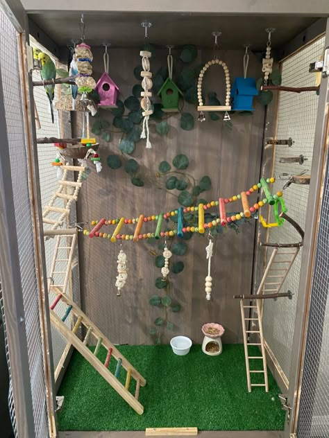 Cute Bird Cage Setup, Parrots House Ideas, Birdcage Ideas Pet, Cool Parakeet Cages, Pet Parakeet Aesthetic, Diy Pet Bird Toys, Diy Bird Cage Accessories, Indoor Aviary Ideas Pet Birds, Toys For Budgies