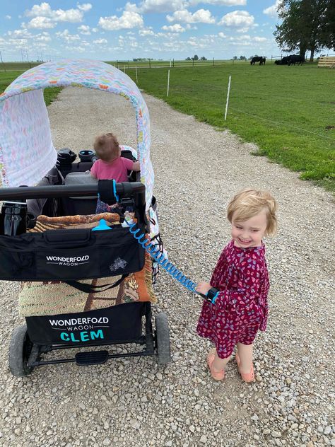 The Smart Momma: Wonderfold Wagon W4 Hacks Wonderfold Wagon W4 Accessories, Wonderfold Wagon Infant Hack, Wonderfold W4 Hacks, Wagon Stroller Hacks, Wonderfold Wagon Hacks W2, Stroller Wagon Hacks, Wonderfold Hacks, Wonderfold Wagon Accessories, Wonderfold Wagon Hacks