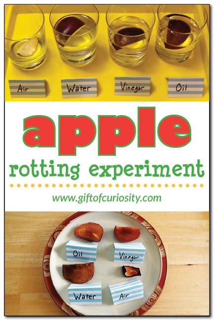 Apple Science, Vinegar And Oil, Summer Stem, Apple Preschool, Apple Unit, Lacing Cards, Apple Activities, Science Activity, Apple Theme