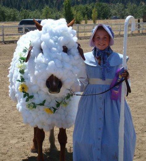 The things we do to our horses...I miss costume class at our horse shows lol Horse Show Costumes, Diy Horse Halloween Costumes, Horse Halloween Ideas, Horse Fancy Dress, Horse Halloween Costumes, Sheep Costumes, Halloween Horse, Horse Costume, Horse Funny