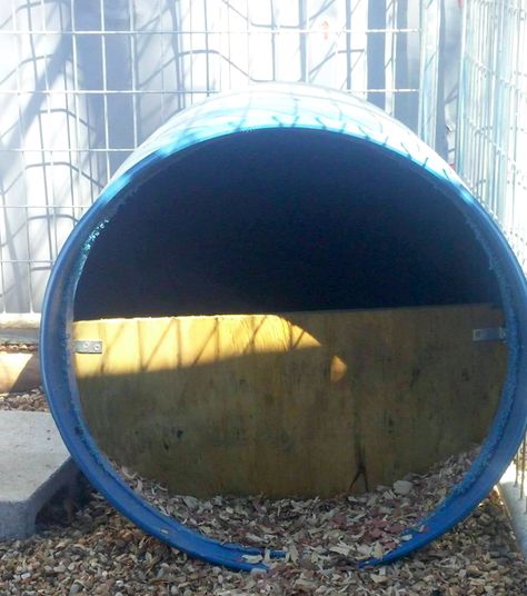 Why we prefer to use blue barrels for dog houses Outdoor Cat House Diy, Cheap Dog Houses, Barrel Dog House, Barrel Dog Bed, Plastic Dog House, Diy Cat Bed, Outdoor Dog House, Goat House, Expensive Dogs