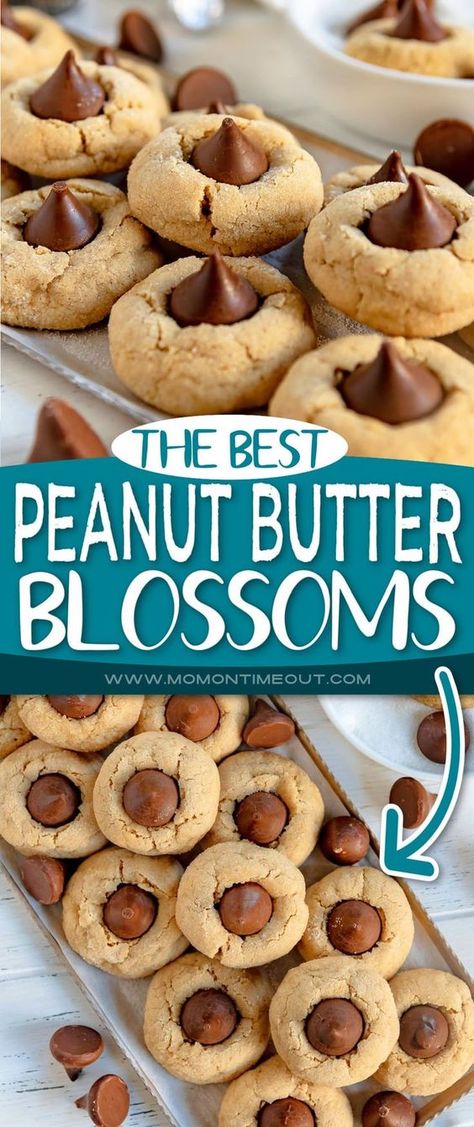 Delicious Peanut Butter Blossoms are a holiday favorite! Soft and chewy peanut butter cookies rolled in sugar and topped with a kiss! Hershey Peanut Butter Blossom Cookies, Peanut Butter Blossom Cookies 3 Ingredient, Peanut Blossoms Cookies Hershey's Kisses, Peanut Butter Reeses Cookies, Best Peanut Butter Blossoms, Recipes Baked Goods, Peanut Butter Kisses, Peanut Blossom Cookies, Kisses Cookies